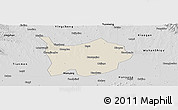 Shaded Relief Panoramic Map of Hanchuan, desaturated