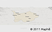 Shaded Relief Panoramic Map of Hanchuan, lighten, semi-desaturated