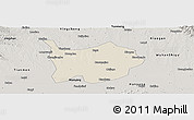 Shaded Relief Panoramic Map of Hanchuan, semi-desaturated