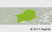 Physical Panoramic Map of Hanyang, lighten, semi-desaturated
