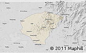 Shaded Relief 3D Map of Huanggang, desaturated