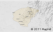 Shaded Relief 3D Map of Huanggang, lighten, desaturated