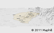 Shaded Relief Panoramic Map of Huanggang, lighten, desaturated