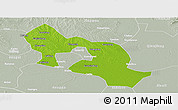 Physical Panoramic Map of Jiangling, lighten, semi-desaturated