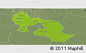 Physical Panoramic Map of Jiangling, semi-desaturated