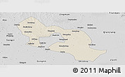Shaded Relief Panoramic Map of Jiangling, desaturated