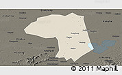 Shaded Relief Panoramic Map of Jianli, darken