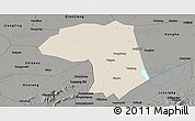 Shaded Relief Panoramic Map of Jianli, darken, semi-desaturated