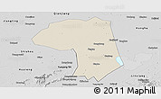 Shaded Relief Panoramic Map of Jianli, desaturated