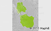 Physical Map of Jingmen, lighten, desaturated