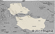Shaded Relief Panoramic Map of Jingmen, darken, desaturated