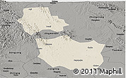 Shaded Relief Panoramic Map of Jingmen, darken, semi-desaturated
