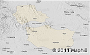 Shaded Relief Panoramic Map of Jingmen, desaturated
