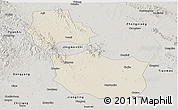Shaded Relief Panoramic Map of Jingmen, semi-desaturated