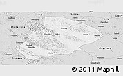 Silver Style Panoramic Map of Jingshan