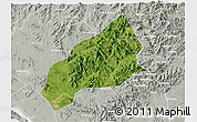 Satellite 3D Map of Qichun, lighten, semi-desaturated