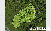 Satellite Map of Qichun, darken
