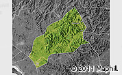 Satellite Map of Qichun, desaturated