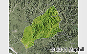 Satellite Map of Qichun, semi-desaturated