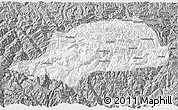 Gray 3D Map of Shennongjia