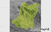 Satellite 3D Map of Sui Xian, desaturated