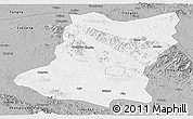 Gray Panoramic Map of Sui Xian