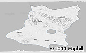 Gray Panoramic Map of Sui Xian, single color outside