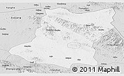 Silver Style Panoramic Map of Sui Xian