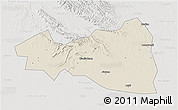 Shaded Relief 3D Map of Tianmen, lighten, semi-desaturated
