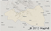 Shaded Relief 3D Map of Tianmen, semi-desaturated