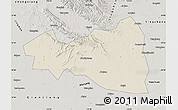 Shaded Relief Map of Tianmen, semi-desaturated