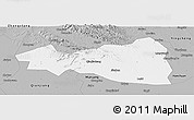 Gray Panoramic Map of Tianmen