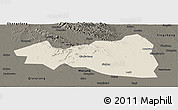 Shaded Relief Panoramic Map of Tianmen, darken