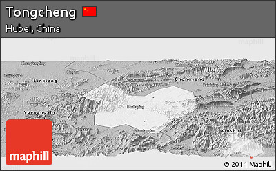 Gray Panoramic Map of Tongcheng