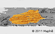 Political Panoramic Map of Tongshan, desaturated