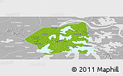 Physical Panoramic Map of Wuchang, lighten, desaturated