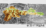 Physical 3D Map of Wufeng, desaturated