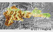 Physical Map of Wufeng, desaturated