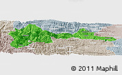 Political Panoramic Map of Wufeng, lighten, semi-desaturated
