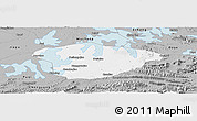 Gray Panoramic Map of Xianning