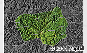 Satellite Map of Xingshan, desaturated