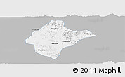 Gray Panoramic Map of Xishui, single color outside