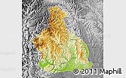 Physical Map of Yichang, desaturated