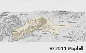 Shaded Relief Panoramic Map of Jiangyong, desaturated