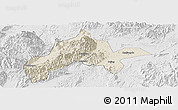 Shaded Relief Panoramic Map of Jiangyong, lighten, desaturated