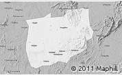 Gray 3D Map of Laiyang