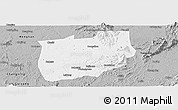 Gray Panoramic Map of Laiyang