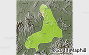 Physical 3D Map of Lingling, darken, semi-desaturated