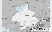 Gray 3D Map of Linxiang