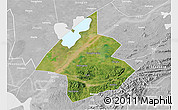 Satellite 3D Map of Linxiang, lighten, desaturated
